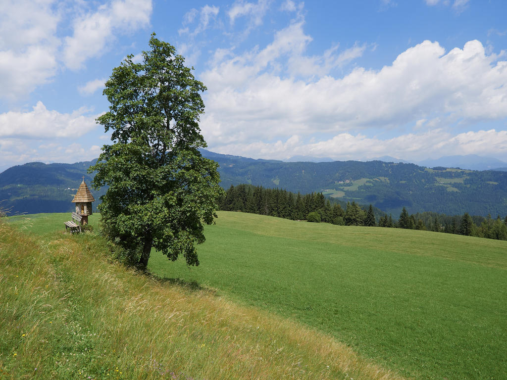 Alpengasthof Moser Karchau ภายนอก รูปภาพ
